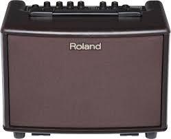 Roland AC-33 RW