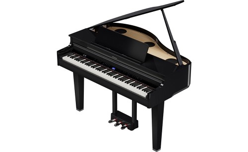 Roland GP-6 PE Gloss Black