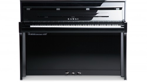 Kawai Novus NV-5S PE  