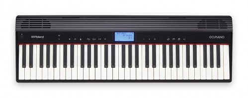 Roland Go:Piano61