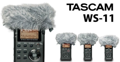 Tascam WS-11