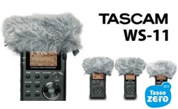 Tascam WS-11