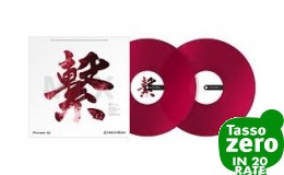 PIONEER DJ RB-VD2-CR Rekordbox Control Vinyl (pair) - Red