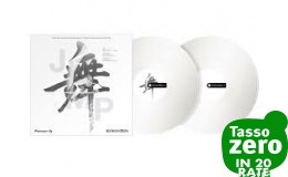 PIONEER DJ RB-VD2-W Rekordbox Control Vinyl (pair) - White