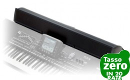 Korg PAAS  