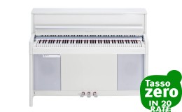 Kurzweil CUP-2 PW