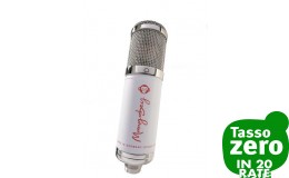 MONKEY BANANA Mangabey Bianco