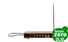 MOOG Etherwave Theremin