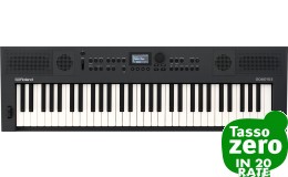 Roland Go:Keys 5 Graphite EXDEMO