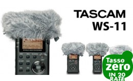 Tascam WS-11