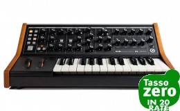 Moog Subsequent 25