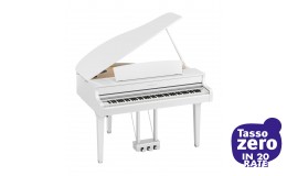 Yamaha 895GP Polished Ebony AG