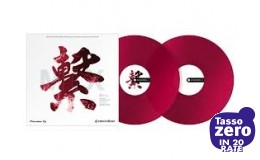 PIONEER DJ RB-VD2-CR Rekordbox Control Vinyl (pair) - Red