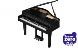 Roland GP-6 PE Gloss Black