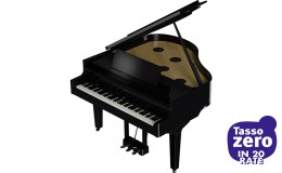 Roland GP-9 PE Gloss Black