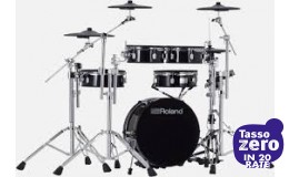 Roland VAD-307