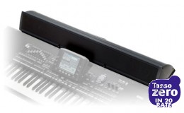 Korg PAAS  