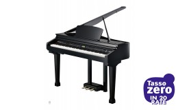 Kurzweil KAG100 EP