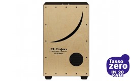 Roland EC-10 EL Cajon