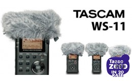 Tascam WS-11