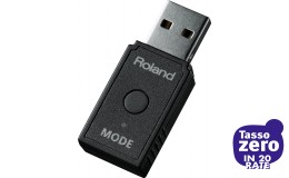 ROLAND WM-1D