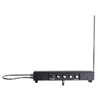 Moog Etherwave Theremin - Standard (Colore Nero)