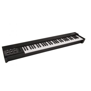 Moog 953 Duophonic 61 Note Keyboard - Black Cabinet