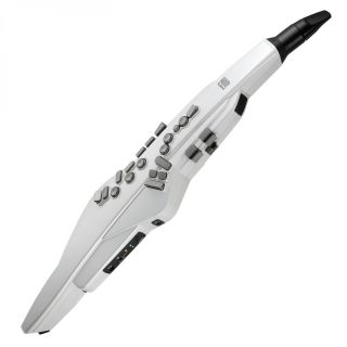 Roland AE-20W Aerophone