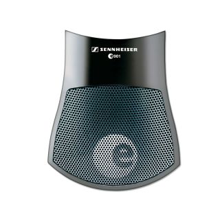 Sennheiser e901