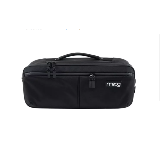 Moog SR Case per Theremin