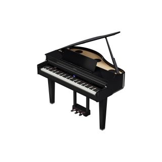 Roland GP-6 PE Gloss Black