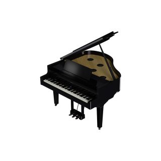 Roland GP-9 PE Gloss Black