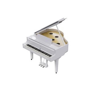 Roland GP-9 PW Gloss White