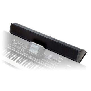Korg PAAS