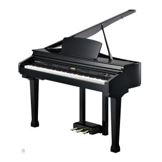 Kurzweil KAG100 EP