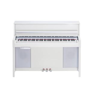 Kurzweil CUP-2 PW