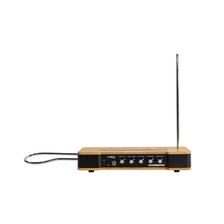 MOOG Etherwave Theremin
