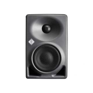 Neumann KH80 DSP A G