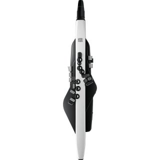 Roland AE-20 Aerophone