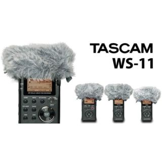 Tascam WS-11