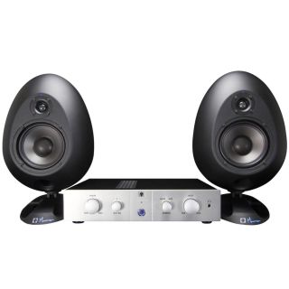 sE Electronics The Egg Medium