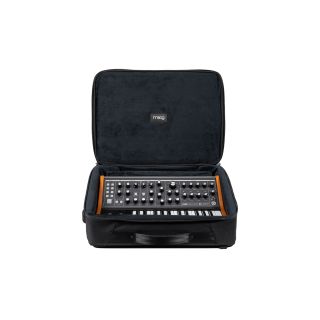 Moog Subsequent 25 SR Case