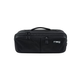 MOOG MUSIC Theremin Etherwave SR Case