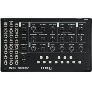 Moog Mavis