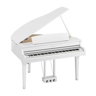 Yamaha 895GPWH