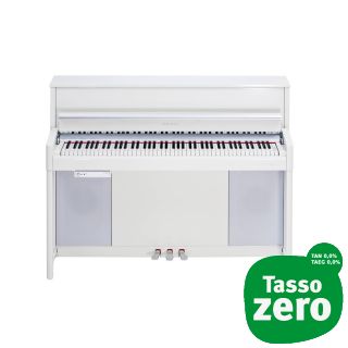 Kurzweil CUP-2 PW