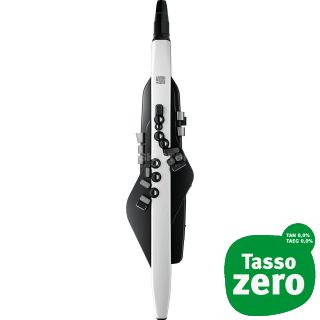 Roland AE-20 Aerophone