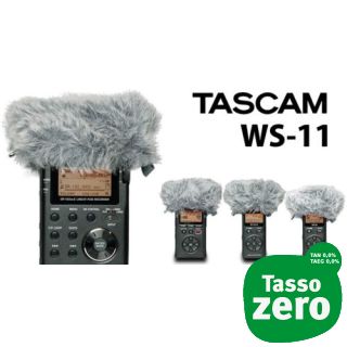 Tascam WS-11