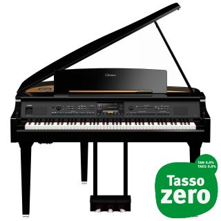 Yamaha 895GP