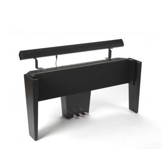 Viscount Stand ST1 Amplificato
